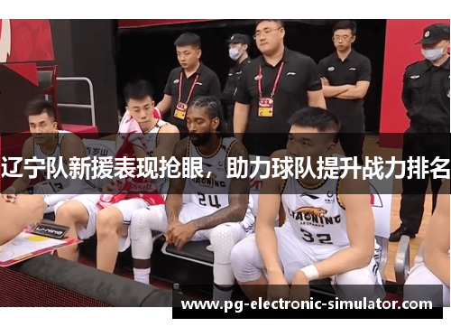 辽宁队新援表现抢眼，助力球队提升战力排名
