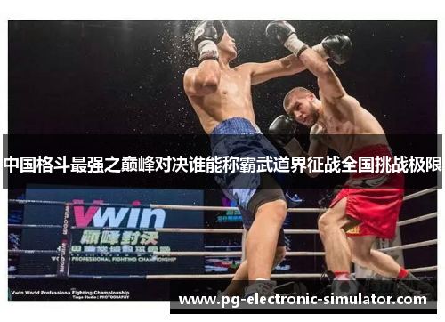 中国格斗最强之巅峰对决谁能称霸武道界征战全国挑战极限