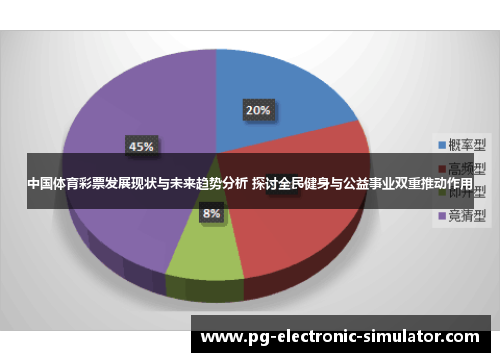 中国体育彩票发展现状与未来趋势分析 探讨全民健身与公益事业双重推动作用